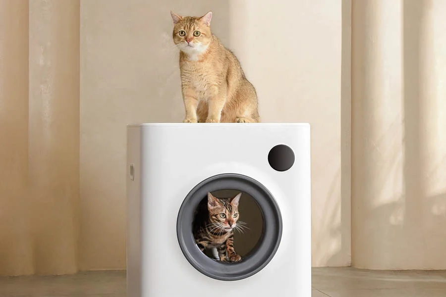 cat auto litter box