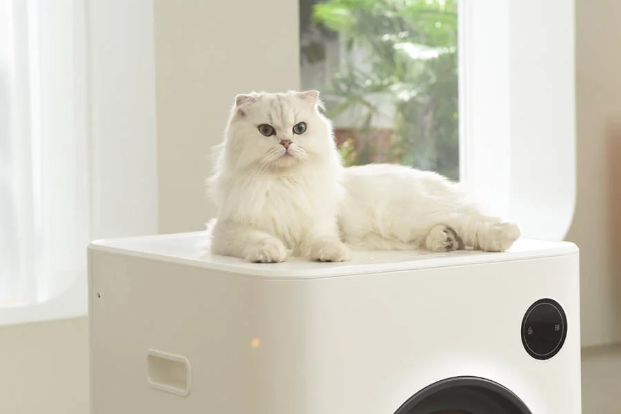 cat auto litter box